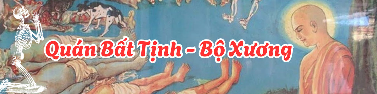 Thiền quán